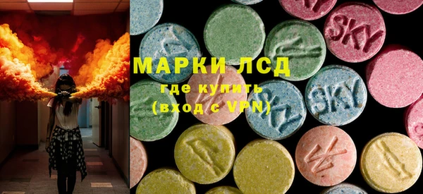PSILOCYBIN Алзамай
