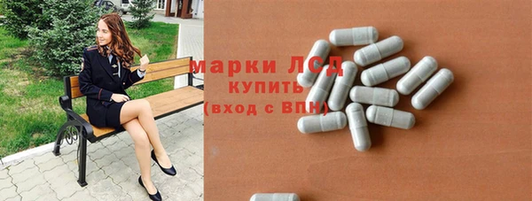 PSILOCYBIN Алзамай