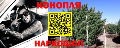 гашик Славгород