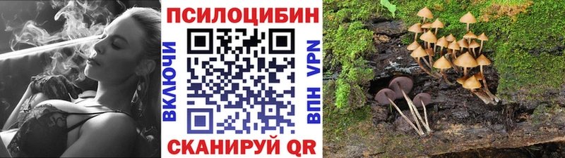Галлюциногенные грибы GOLDEN TEACHER  mega ссылка  Октябрьский 